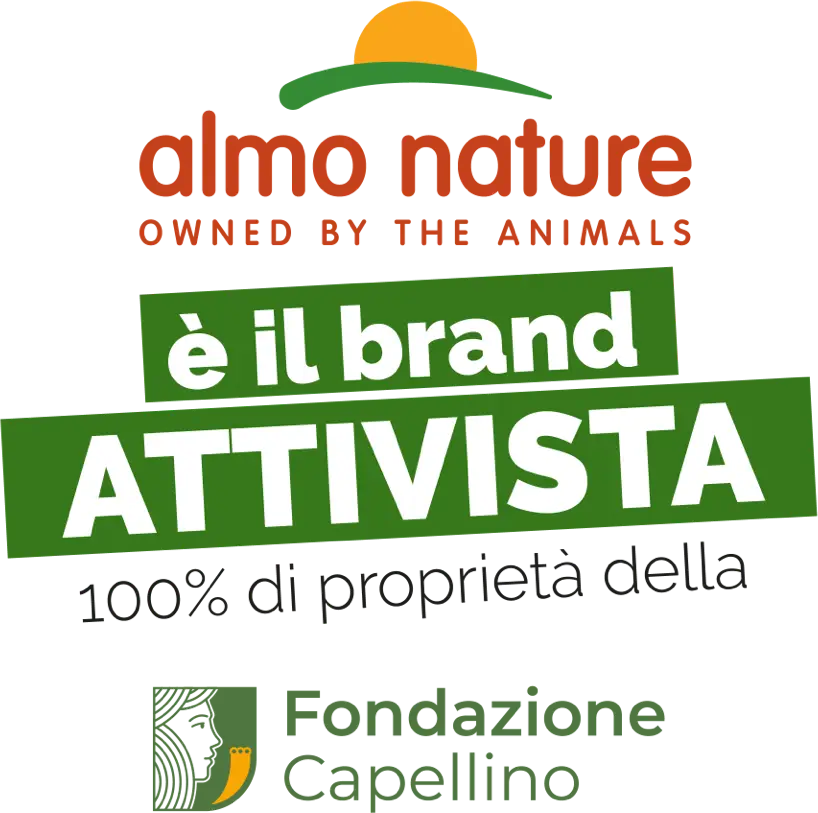 Attivista-2